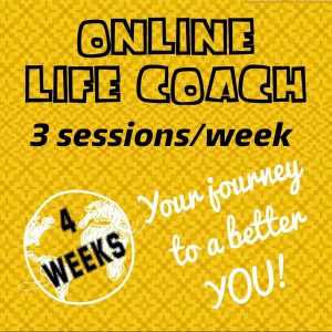 Online Life Coaching Program (3/wk)